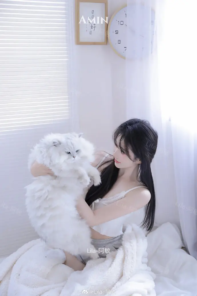 减肥软件使用数据对比